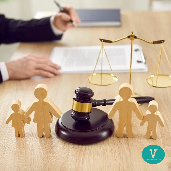 internasional lawyer